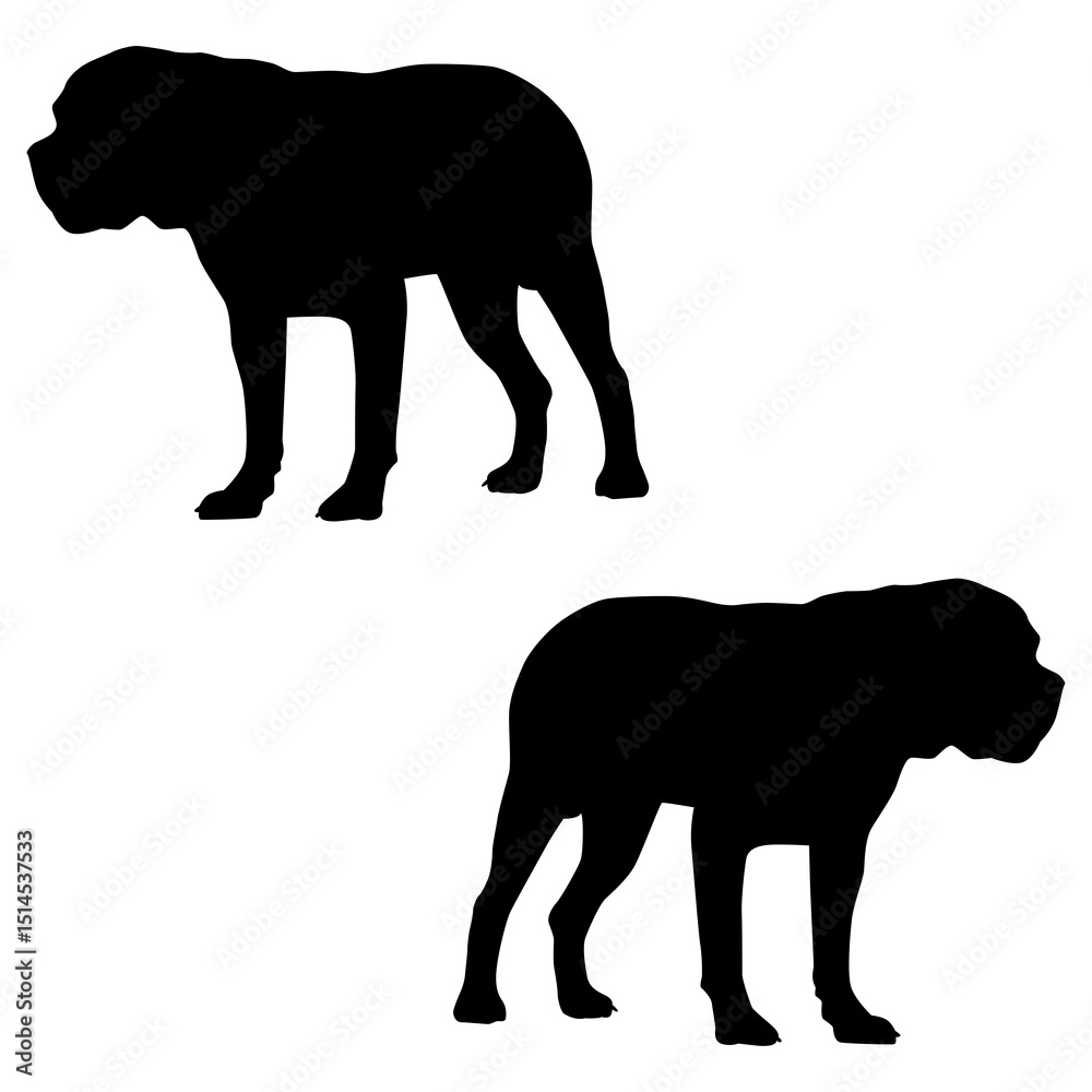 Fototapeta premium Bulldog silhouette, Double Bulldog set box icon, Bulldog illustration, silhouette, set icon, silhouette, Bulldog icon