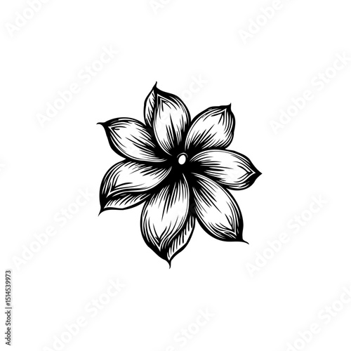 Detailed botanical illustration of a flower with delicate line work and shading