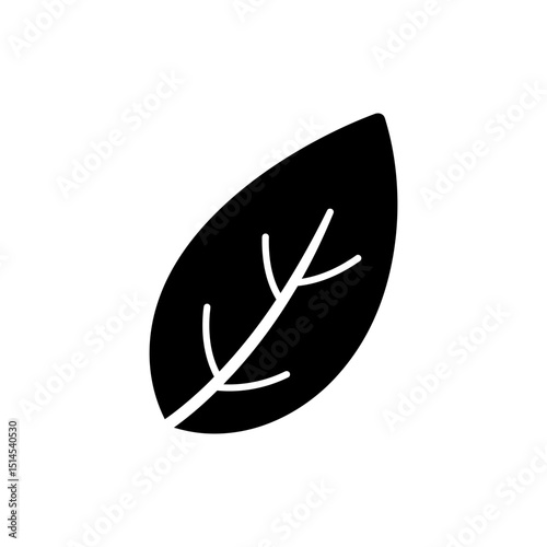 Bay Leaf with Curved Edge Isolated on White Background