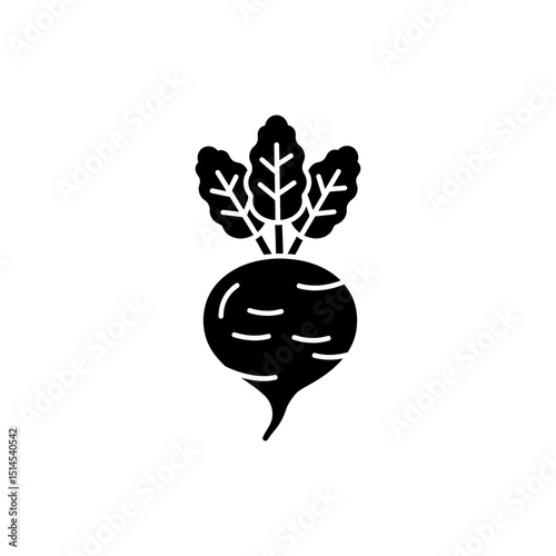 Fresh Beetroot with Leaf and Stem for Healthy Eating