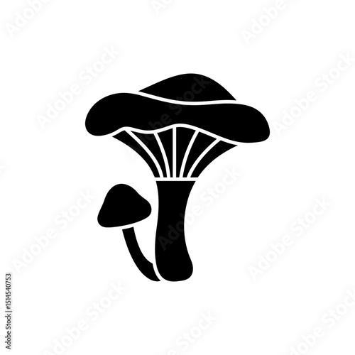 Golden chanterelle mushroom isolated on white background close up