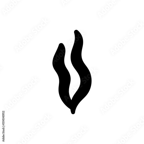 Long Flowing Strand of Fresh Kelp Seaweed on White Background
