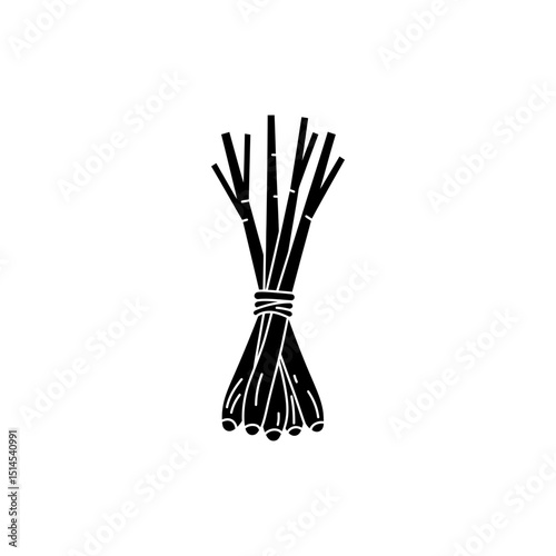 Bundle of tied fresh lemongrass stalks isolated on white background