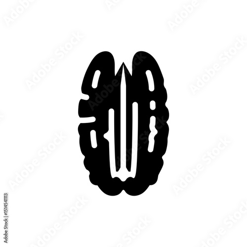 Close-up of Pecan Nut with Distinct Ridges Isolated on White