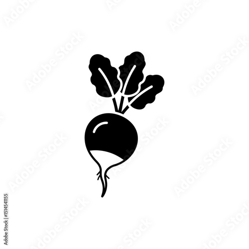 Fresh Radish with Root and Leaves on White Background