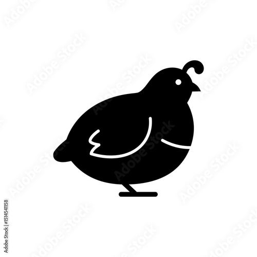 Small Round Quail Bird Body on White Background