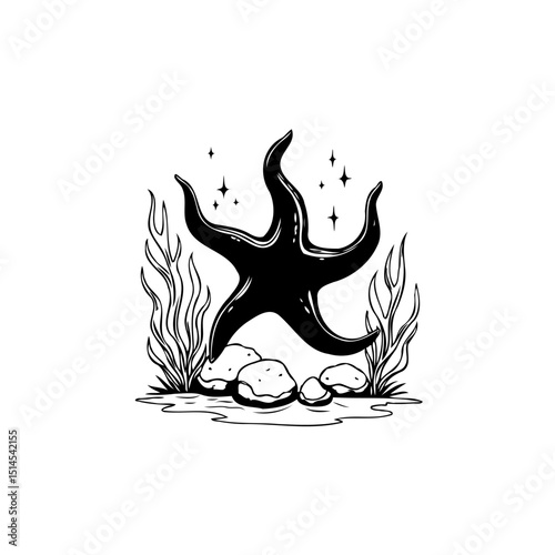 Elegant black and white illustration of a starfish among seaweed and rocks