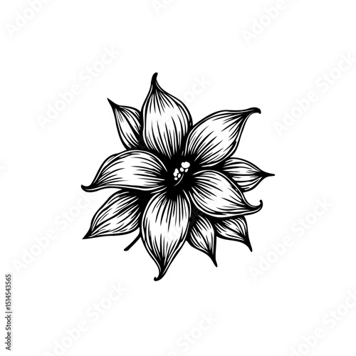 Elegant floral illustration with detailed line work and organic shape design