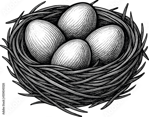 Bird Nest With Eggs vector black silhouette print design for T-Shirt