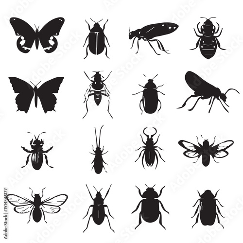 set of insects