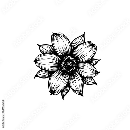 Monochrome floral artwork displaying intricate petal details in graphic style