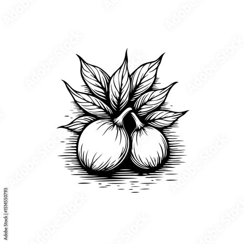 Monochrome Vintage Illustration Featuring Citrus Fruits and Foliage Accentuating Natural Beauty