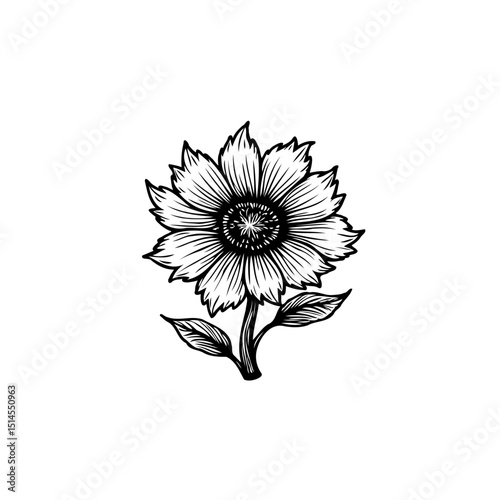 Exquisite Hand-Drawn Sunflower Illustration with Intricate Details and Fine Lines