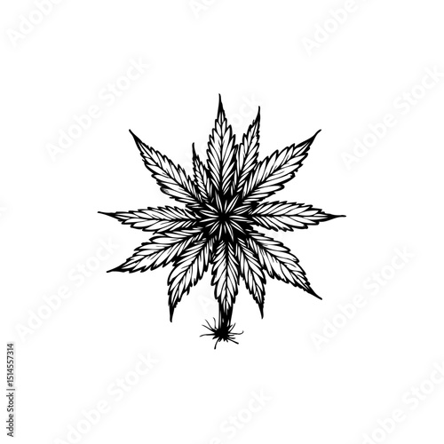 Monochrome Cannabis Leaf Illustration: Detailed Black and White Graphic Design