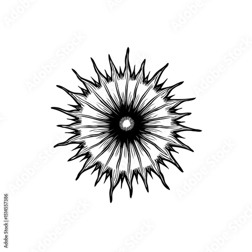 Abstract black and white spiky floral burst illustration for design elements