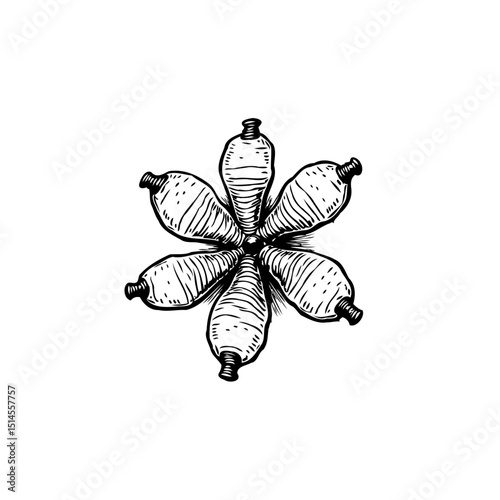 A Hand-Drawn Illustration: Arrangement of Bottle Gourds in a Floral, Symmetrical Design