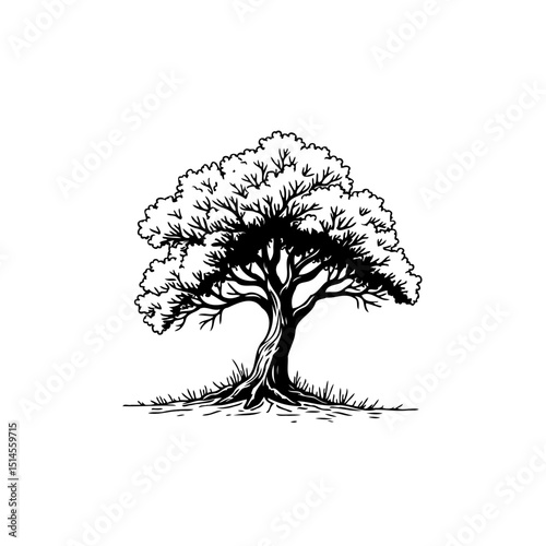 Elegant solitary tree illustration on a white background providing a timeless emblem