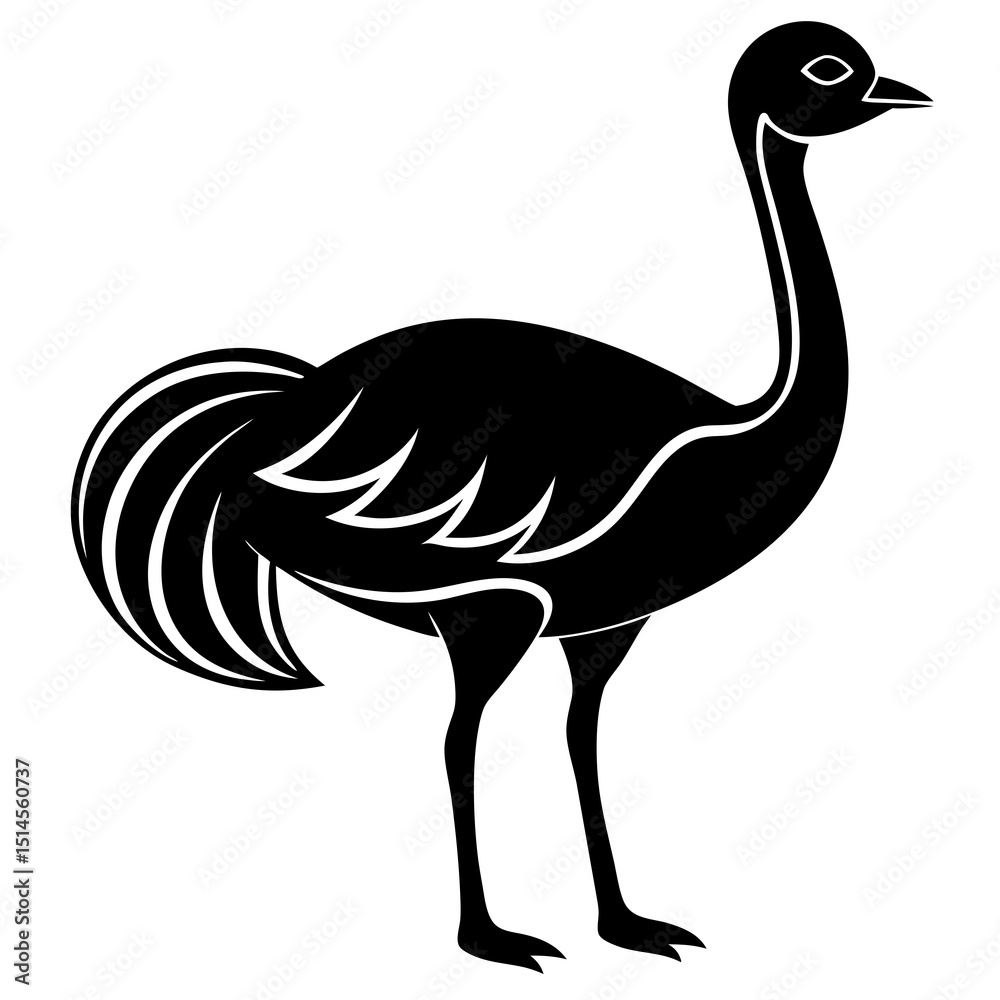 vector illustration of an ostrich vector illustration of an ostrich
