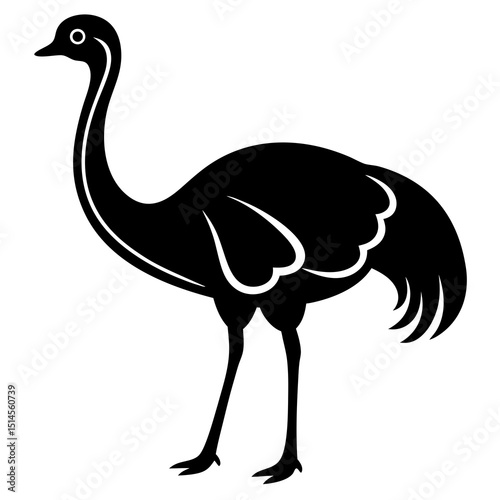 ostrich vector illustration