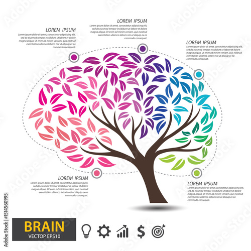 Brain tree design. infographic template for presentation. vector illustration.