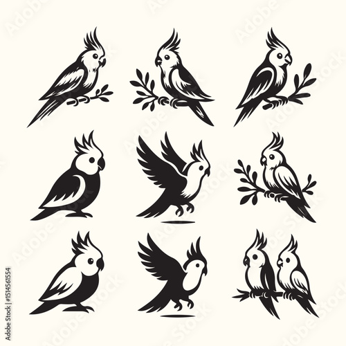 silhouettes of birds, set of birds silhouettes, pigeons collection