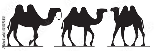 camel in desert vector illustration