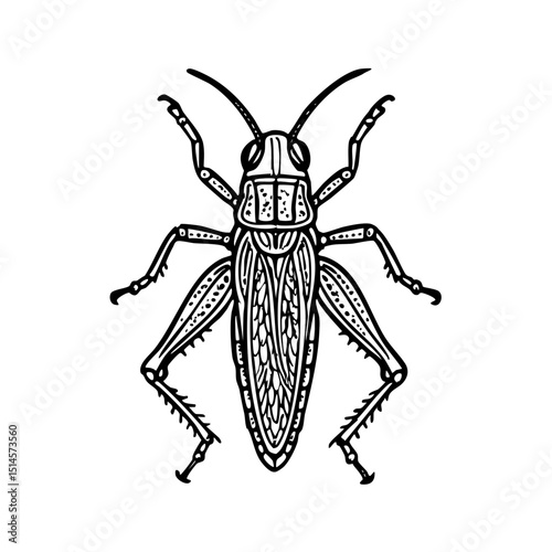 Giant Grasshopper Doodle - Order Orthoptera