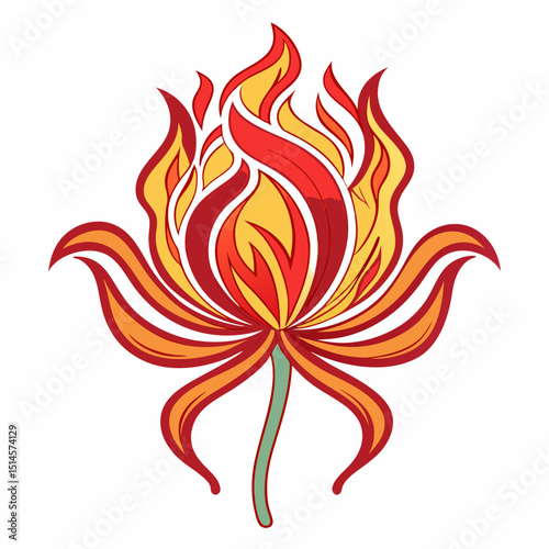 Flame Lily Bloom Flower Botanical Drawing Line Art Vector Illustration