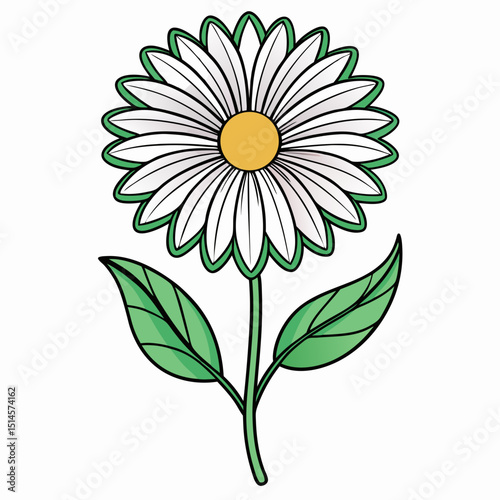 Swan River Daisy Bloom Flower Botanical Drawing Line Art Vector Illustration