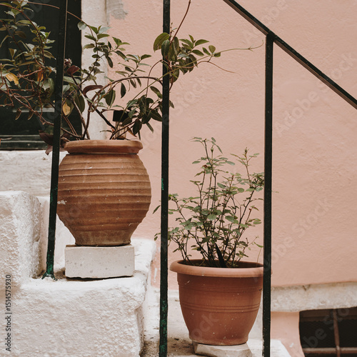 Terracotta Flower Pots on Staircase