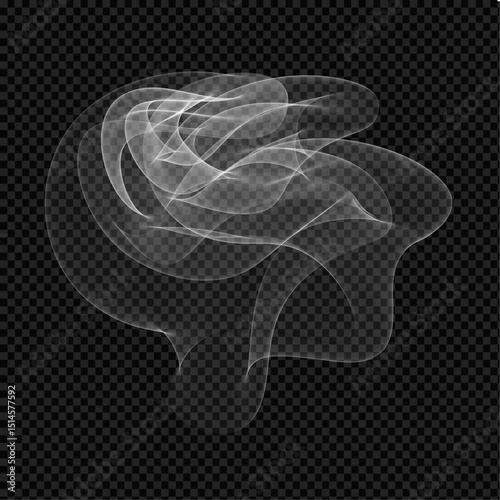 Realistic vector Smoke template design. Beautiful swirl twirl curve Smoke digital object. 