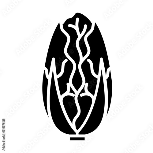 napa cabbage icon	