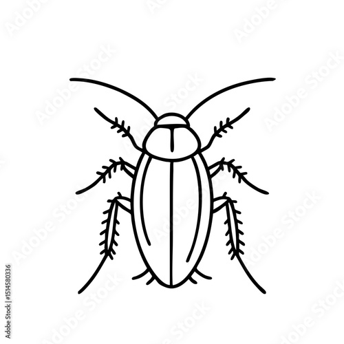 house Cockroaches - Order Blattodea