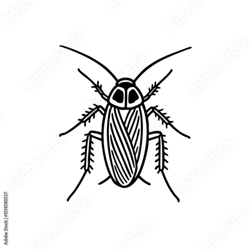 German Cockroaches - Order Blattodea