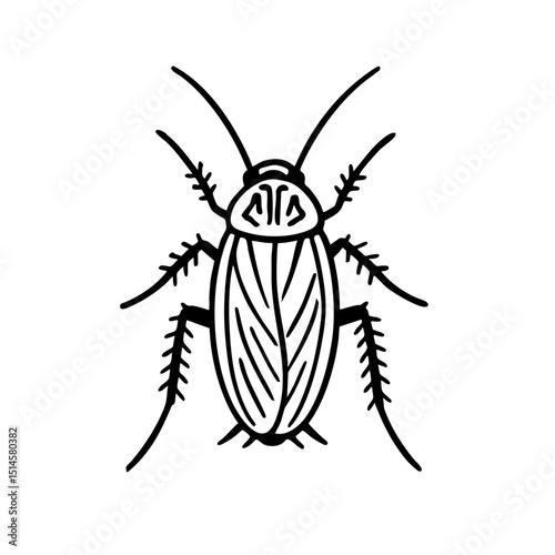 German Cockroaches - Order Blattodea