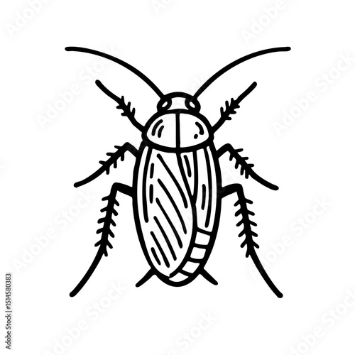 German Cockroaches - Order Blattodea