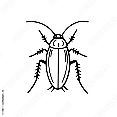 German Cockroaches - Order Blattodea