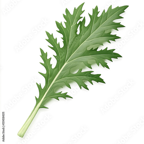 Vibrant Green Vegetable Leaf Close-up