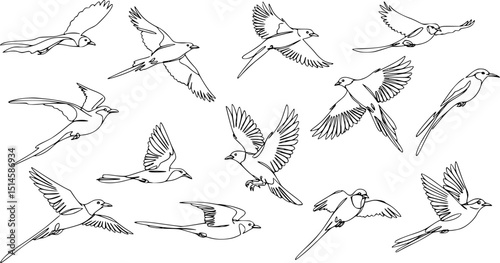 Flying bird continuous line drawing element isolated on white background for decorative element. Vector illustration of animal form in trendy outline style.