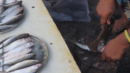 fish seller woman is cleaning fish for cooking.