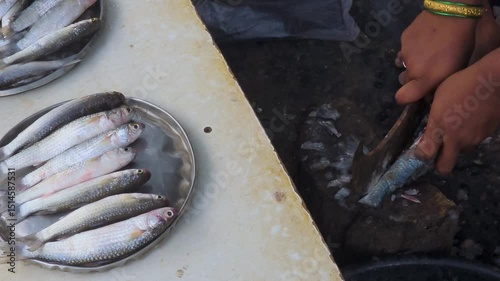 fish seller woman is cleaning fish for cooking.