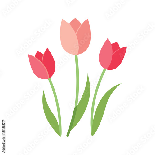 bouquet of tulips
