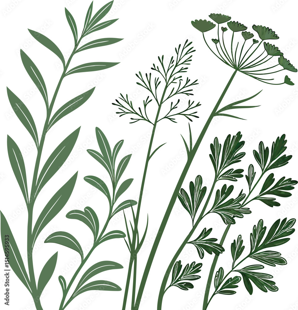 Fototapeta premium Seamless Herb Plant Design Clipart