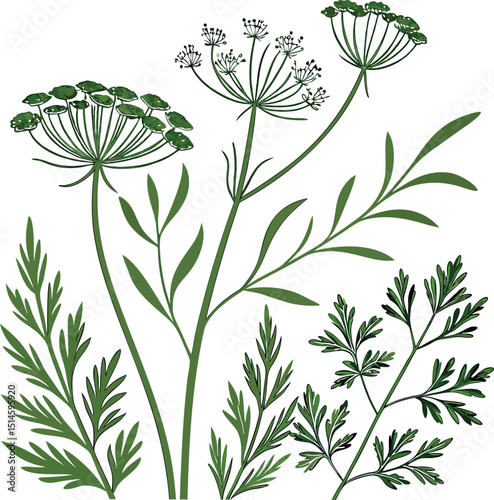 Earth Tone Herb Leaves Pattern Vector
