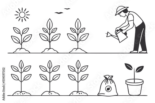gardening and plant growth vector illustration of a man and woman isolated on white background.