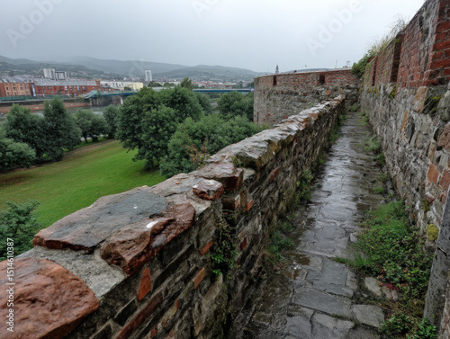 panoramic view of the histo...