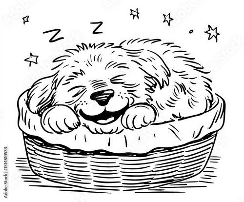 Puppy sleeping in a basket ...