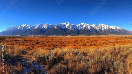 Wide shot of a vast plain with orange-tinted grasses and snow-capped mountains in the distance.