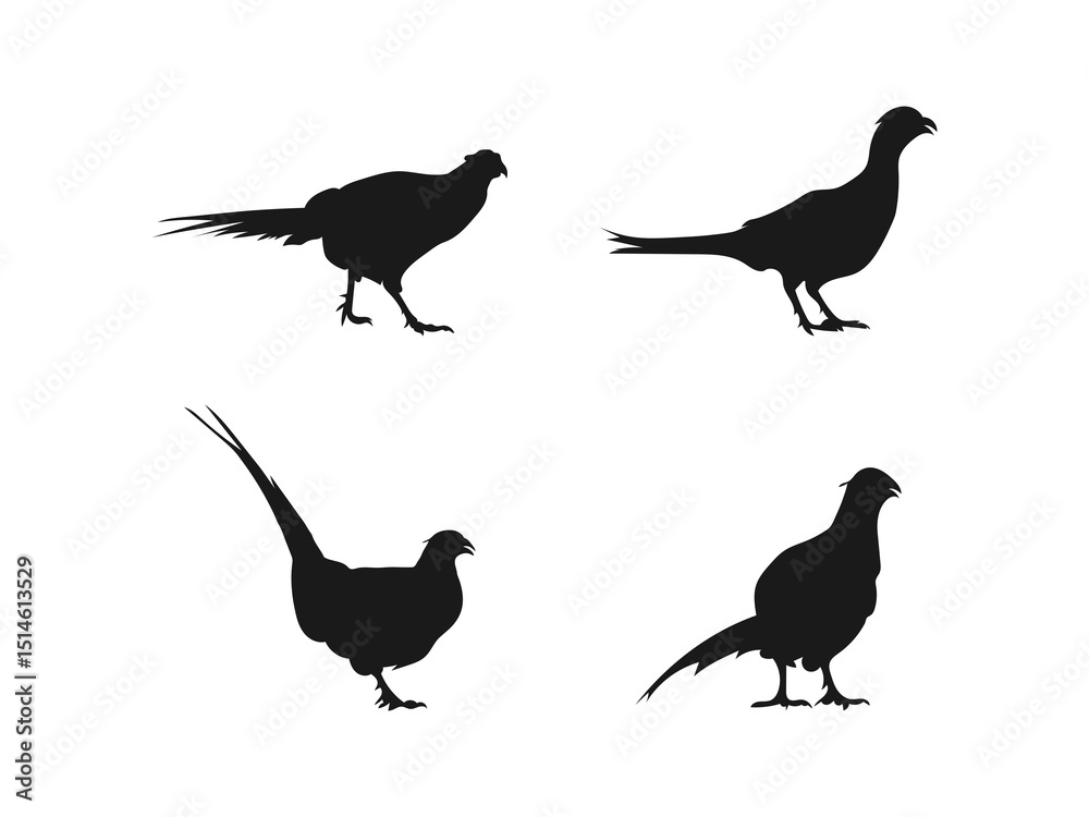 Fototapeta premium Game bird silhouette icon. vector flat illustration design. Silhouettes of pheasants in various poses.