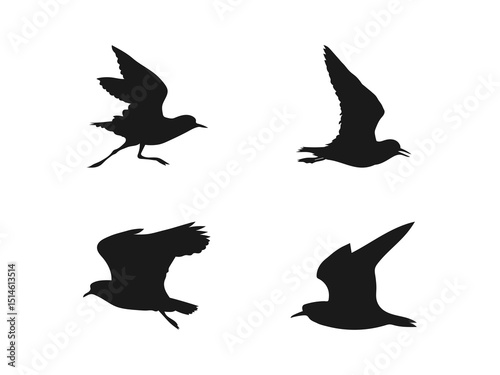 Flying Plover bird silhouette icon set. Flying plover bird silhouette vector flat illustration design. Bird silhouettes isolated on a white background.